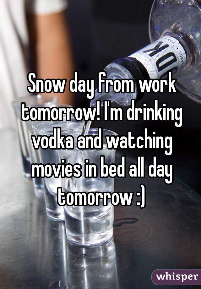 Snow day from work tomorrow! I'm drinking vodka and watching movies in bed all day tomorrow :)