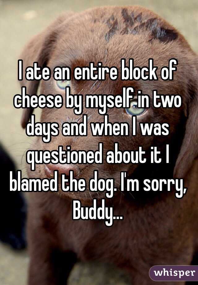 I ate an entire block of cheese by myself in two days and when I was questioned about it I blamed the dog. I'm sorry, Buddy...