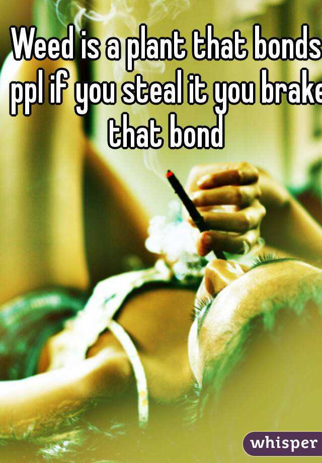 Weed is a plant that bonds ppl if you steal it you brake that bond 