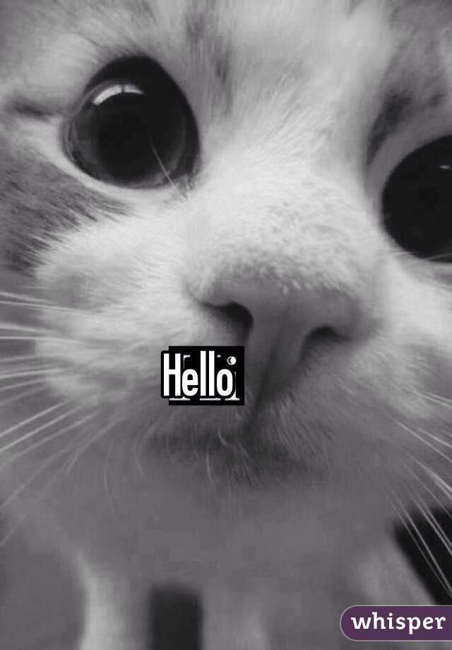 Hello

