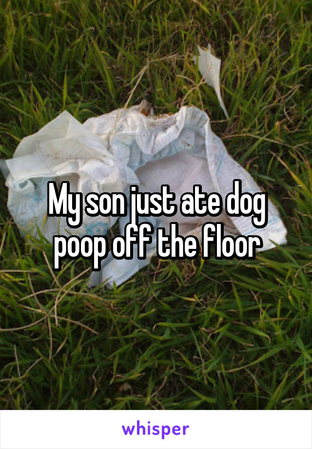 My son just ate dog poop off the floor