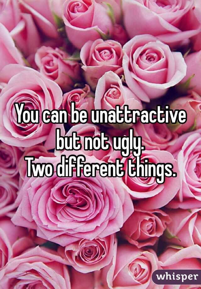 You can be unattractive but not ugly.
Two different things.