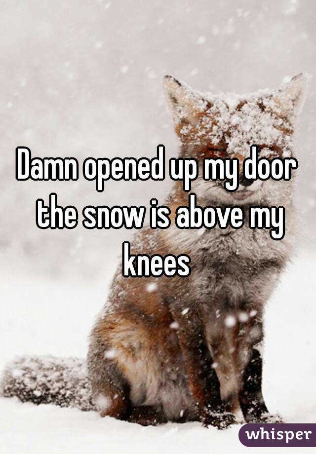 Damn opened up my door the snow is above my knees 