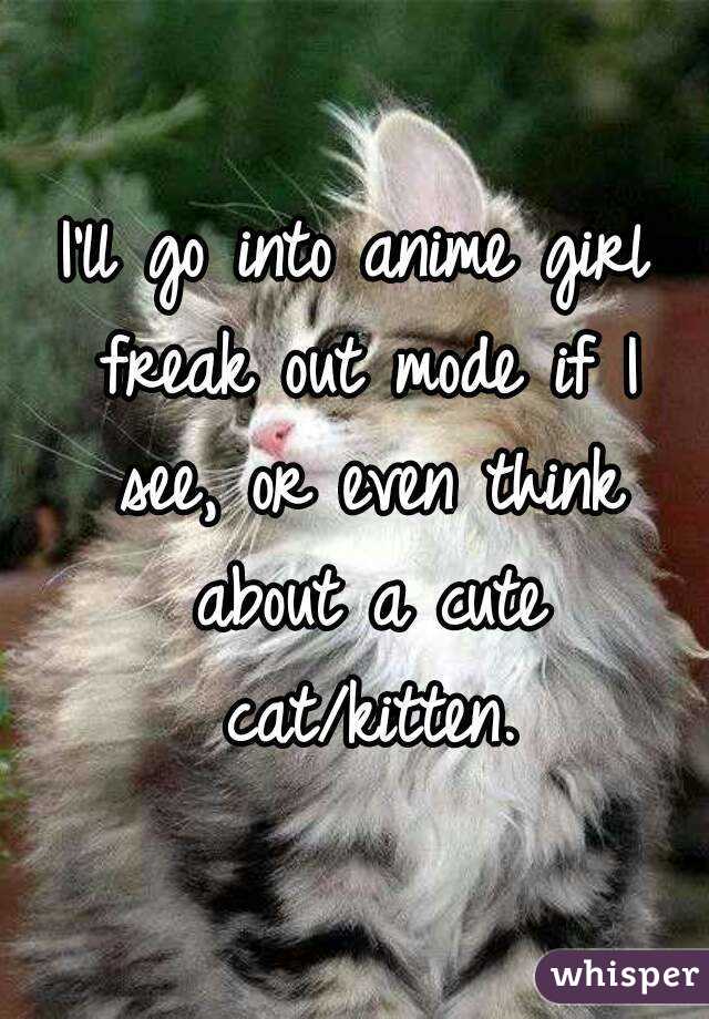 I'll go into anime girl freak out mode if I see, or even think about a cute cat/kitten.