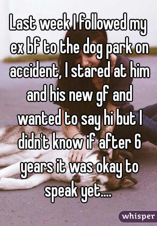 Last week I followed my ex bf to the dog park on accident, I stared at him and his new gf and wanted to say hi but I didn't know if after 6 years it was okay to speak yet.... 