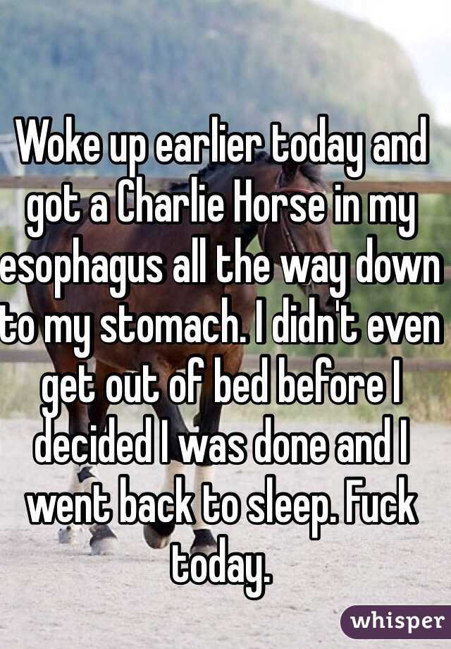 Woke up earlier today and got a Charlie Horse in my esophagus all the way down to my stomach. I didn't even get out of bed before I decided I was done and I went back to sleep. Fuck today. 