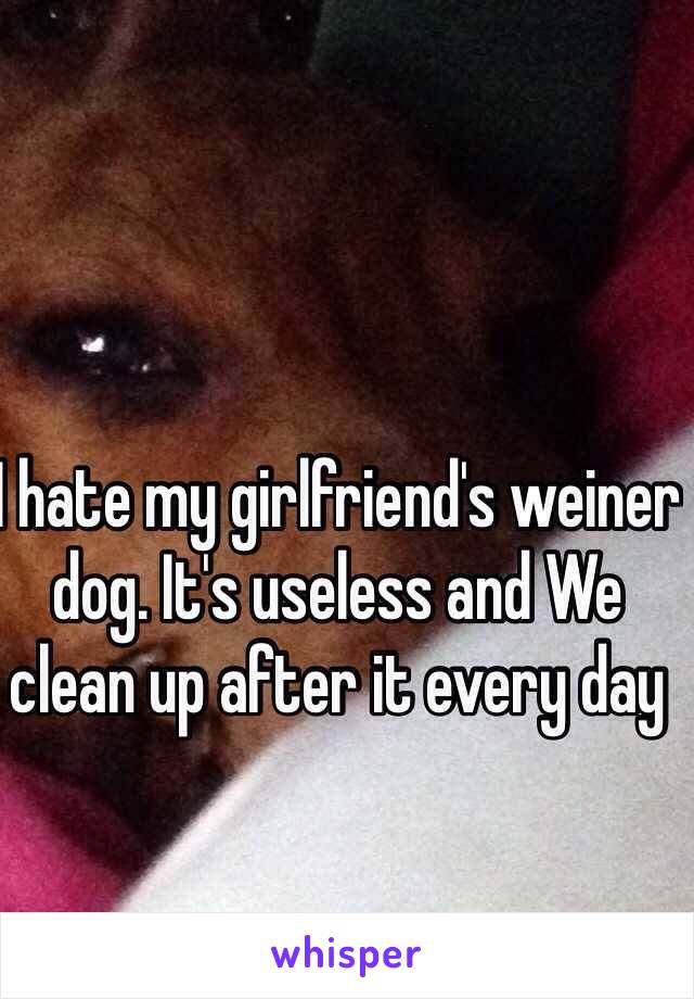 I hate my girlfriend's weiner dog. It's useless and We clean up after it every day
