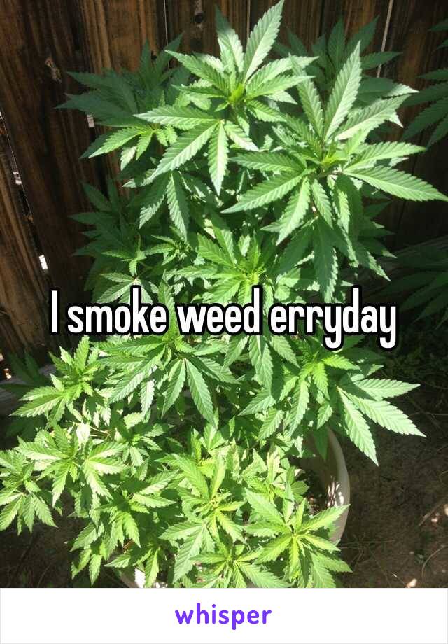 I smoke weed erryday