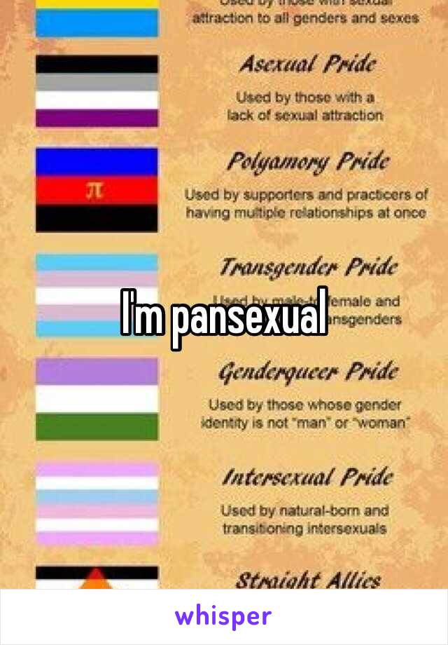 I'm pansexual 