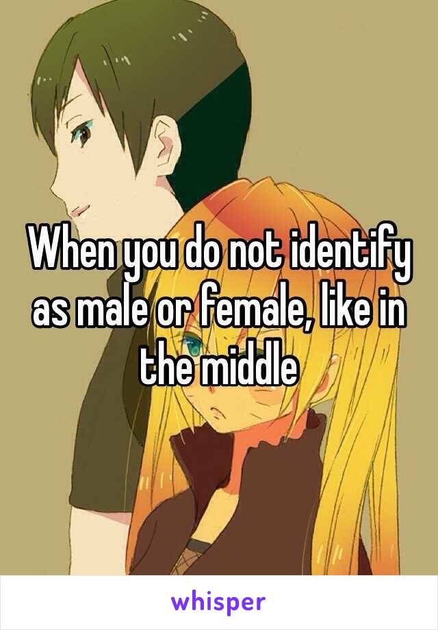 When you do not identify as male or female, like in the middle