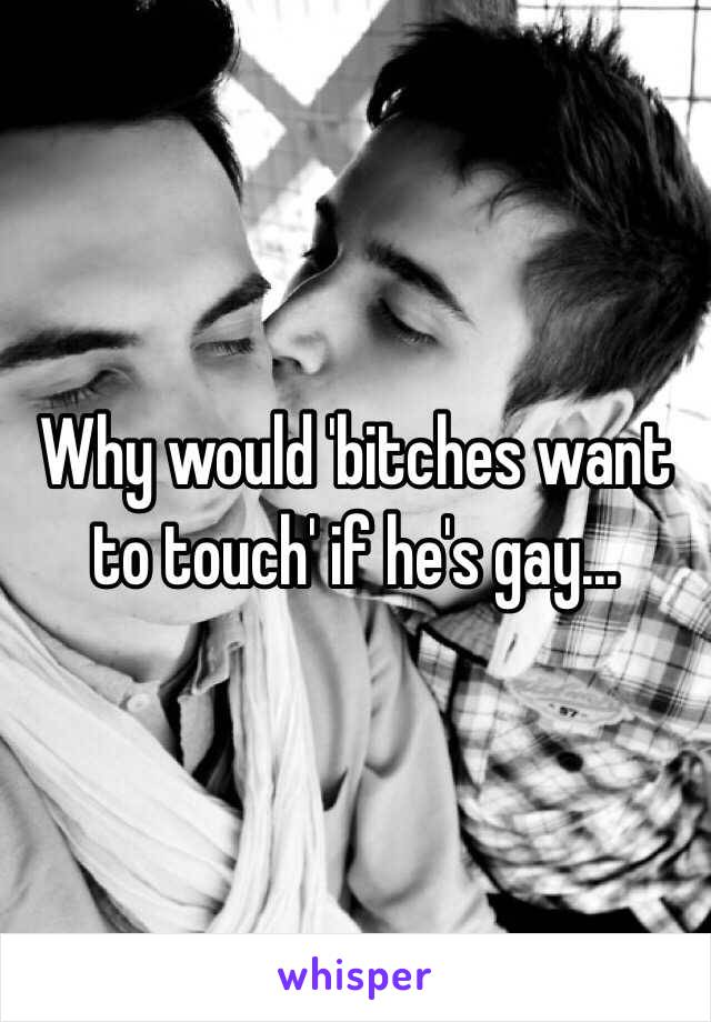 Why would 'bitches want to touch' if he's gay...