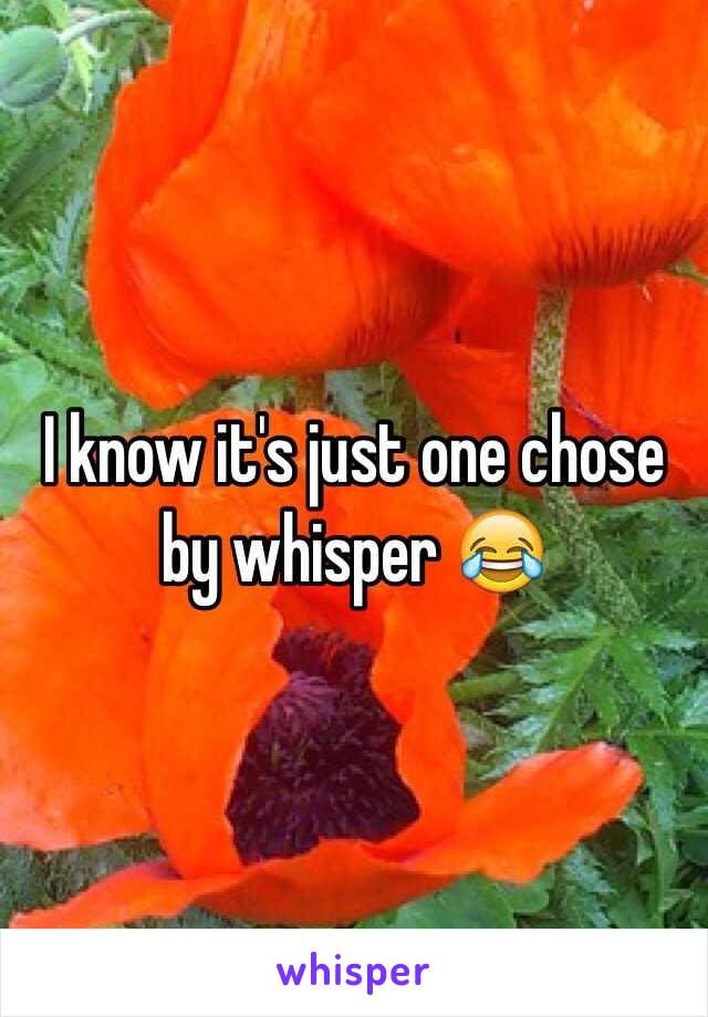 I know it's just one chose by whisper 😂