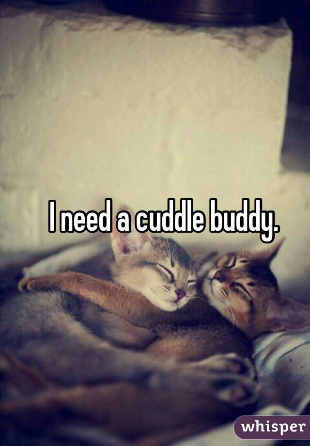 I need a cuddle buddy. 