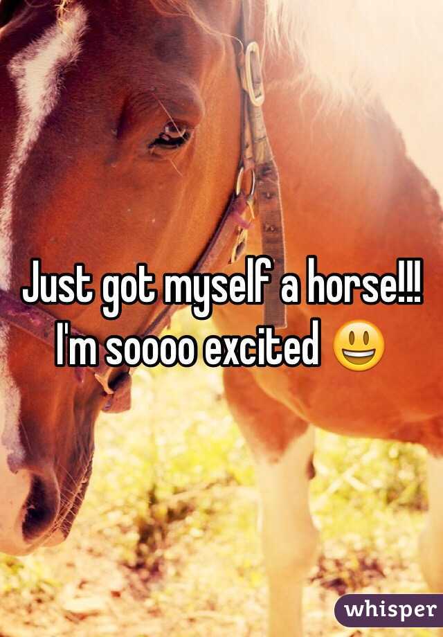 Just got myself a horse!!! I'm soooo excited 😃