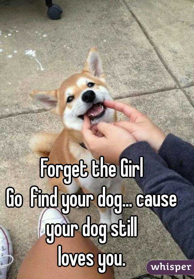 Forget the Girl
Go  find your dog... cause your dog still 
loves you.
