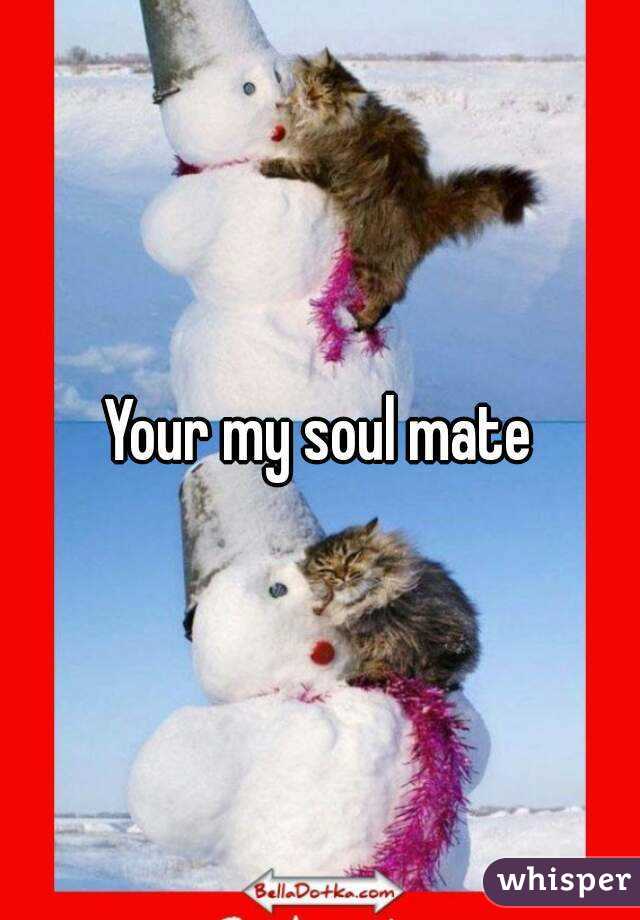 Your my soul mate