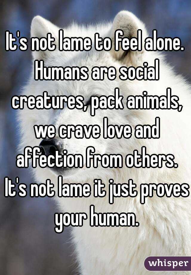 It's not lame to feel alone. Humans are social creatures, pack animals, we  crave love and