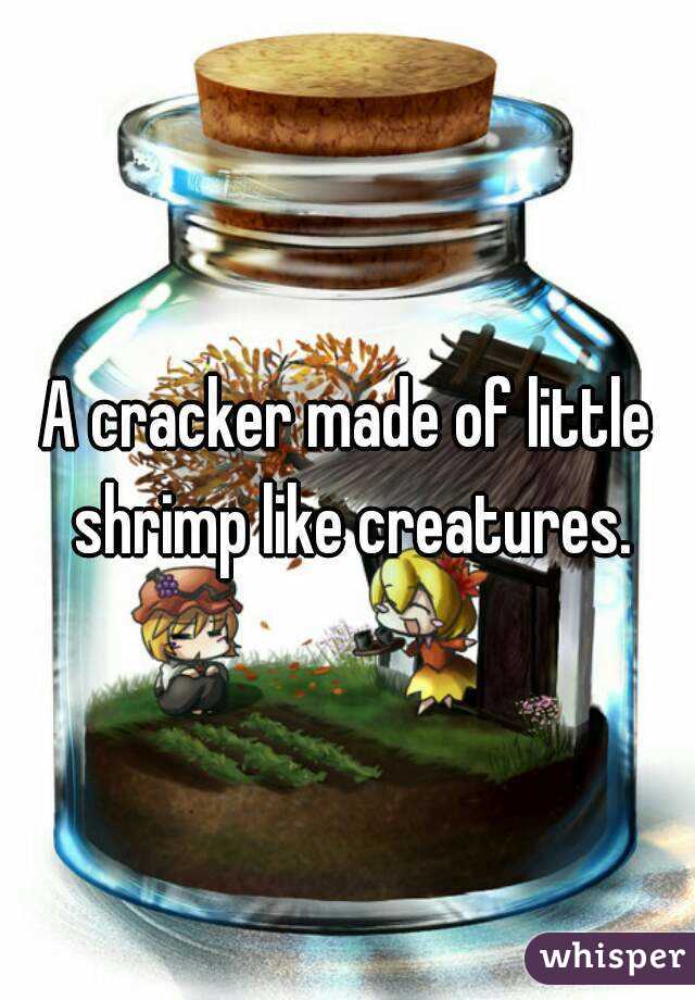 A cracker made of little shrimp like creatures.