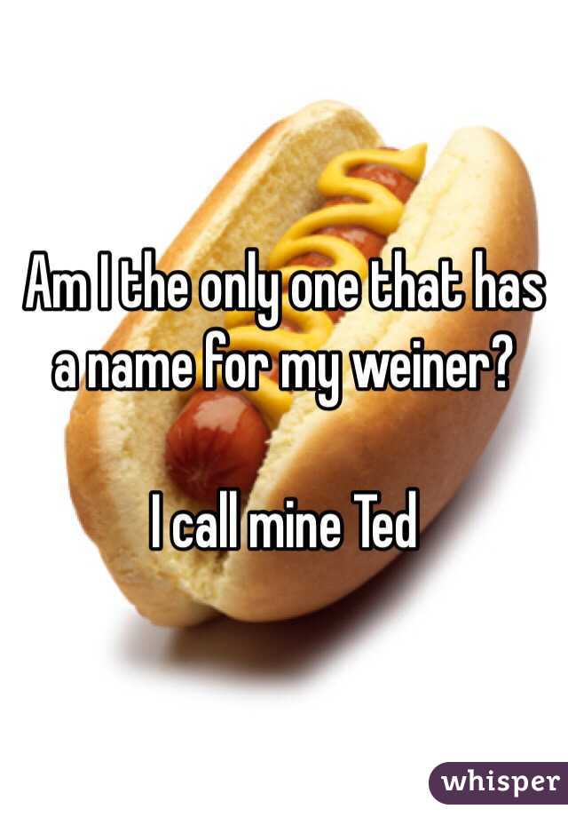 Am I the only one that has a name for my weiner?

I call mine Ted