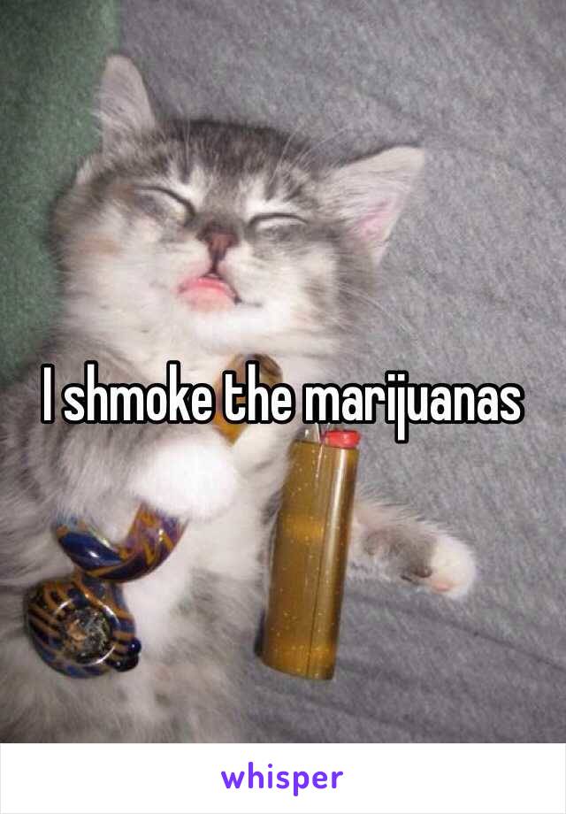 I shmoke the marijuanas 