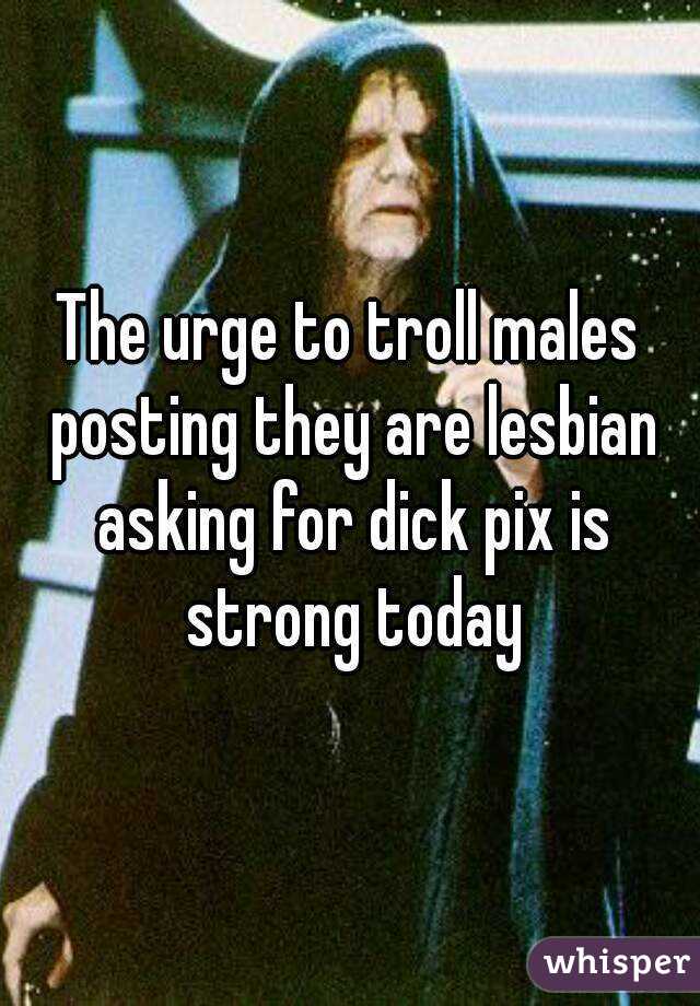 The urge to troll males posting they are lesbian asking for dick pix is strong today
