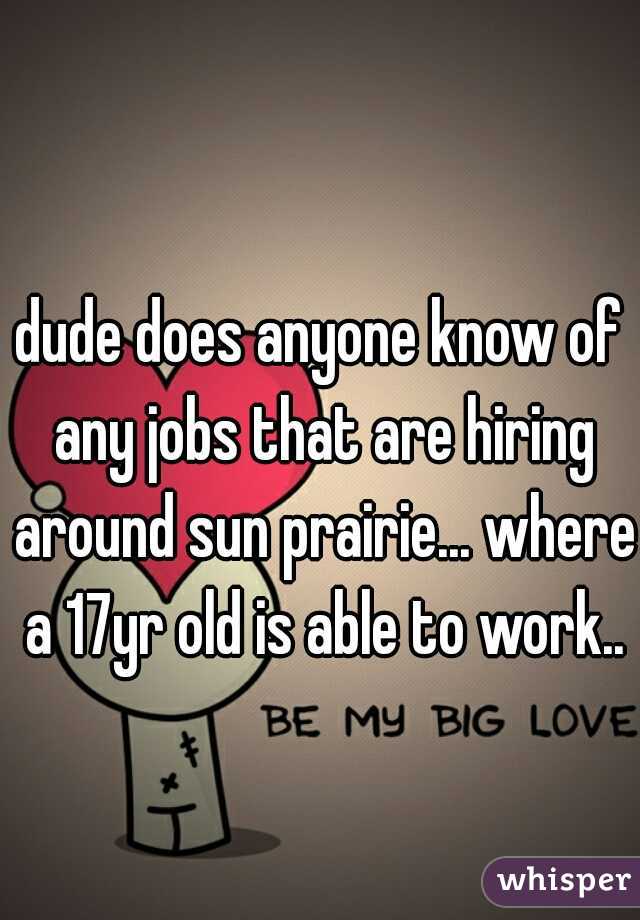 dude does anyone know of any jobs that are hiring around sun prairie... where a 17yr old is able to work..