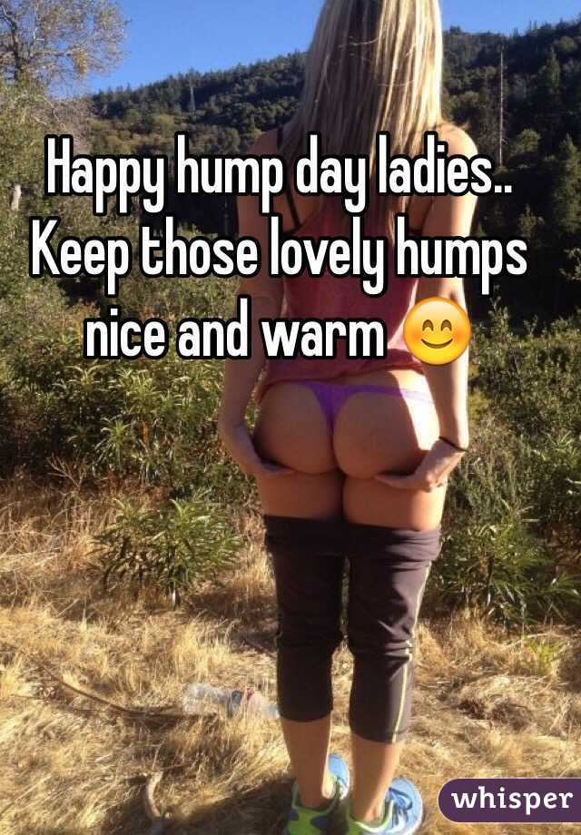 Happy hump day ladies..
Keep those lovely humps nice and warm 😊