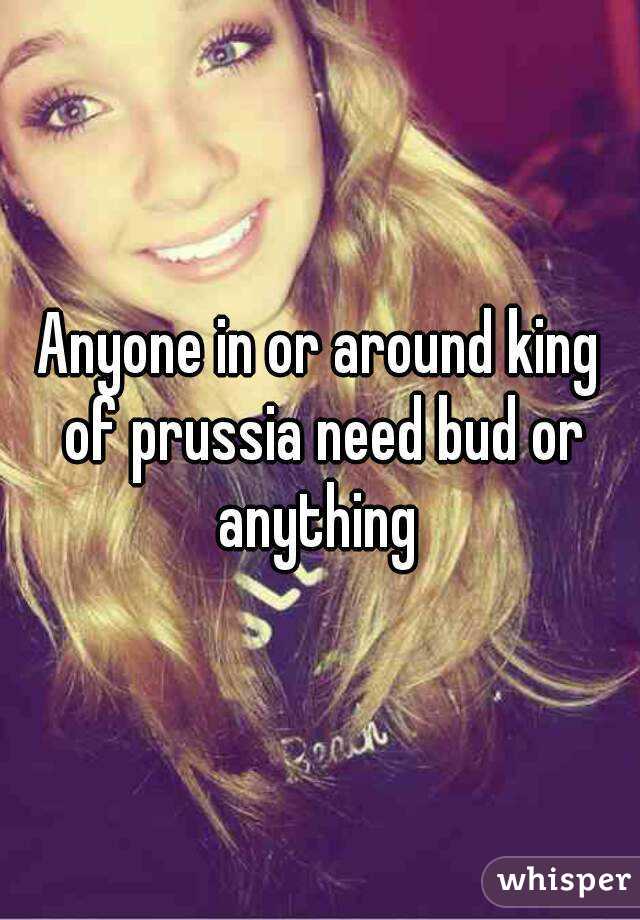 Anyone in or around king of prussia need bud or anything 
