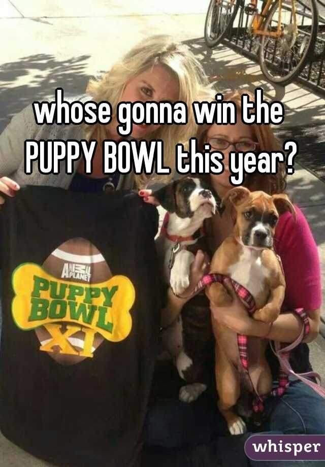 whose gonna win the PUPPY BOWL this year?