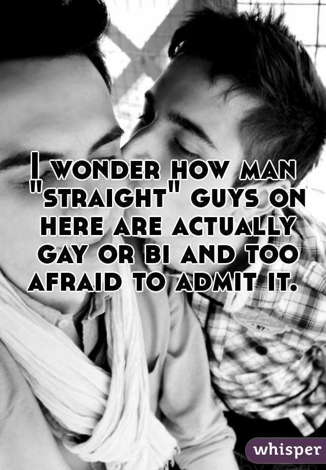 I wonder how man "straight" guys on here are actually gay or bi and too afraid to admit it. 