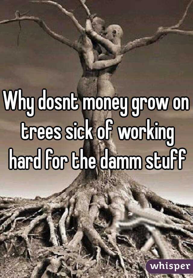 Why dosnt money grow on trees sick of working hard for the damm stuff