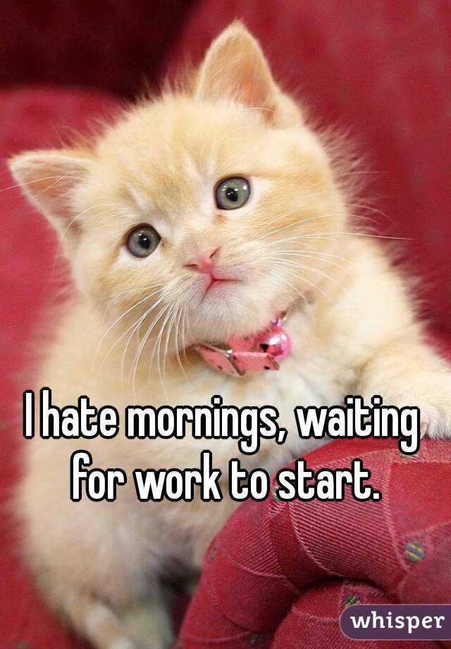 I hate mornings, waiting for work to start.