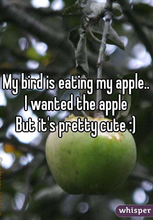 My bird is eating my apple..
I wanted the apple
But it's pretty cute :)
