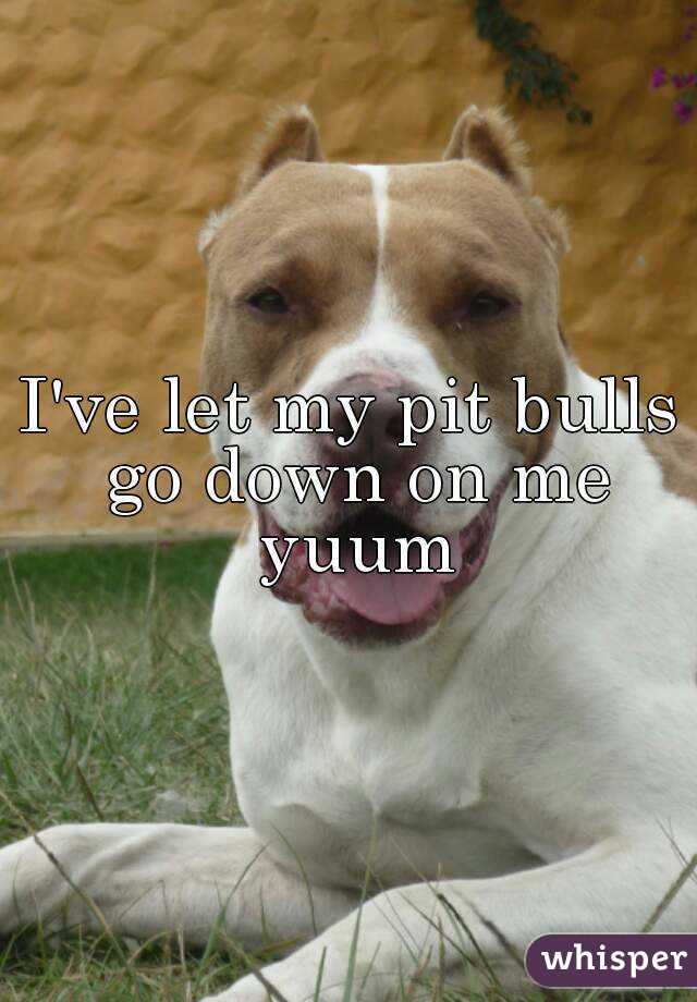 I've let my pit bulls go down on me yuum