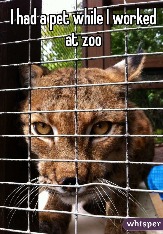 I had a pet while I worked at zoo 
