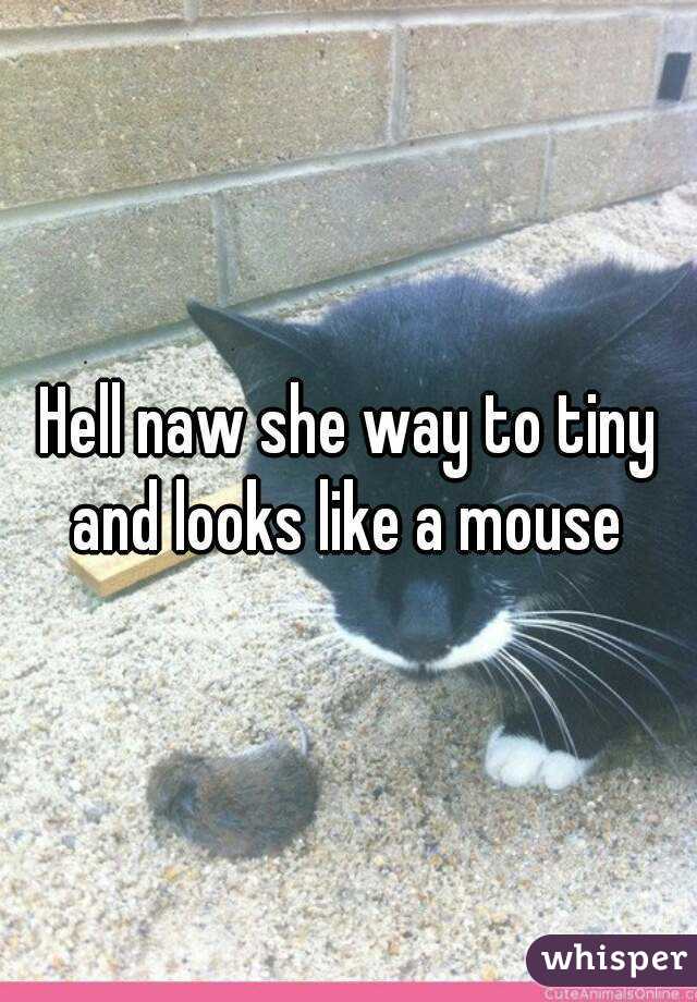 Hell naw she way to tiny and looks like a mouse 
