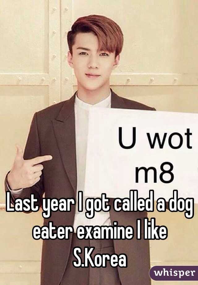 Last year I got called a dog eater examine I like S.Korea 