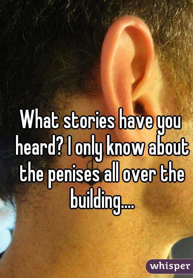 What stories have you heard? I only know about the penises all over the building....