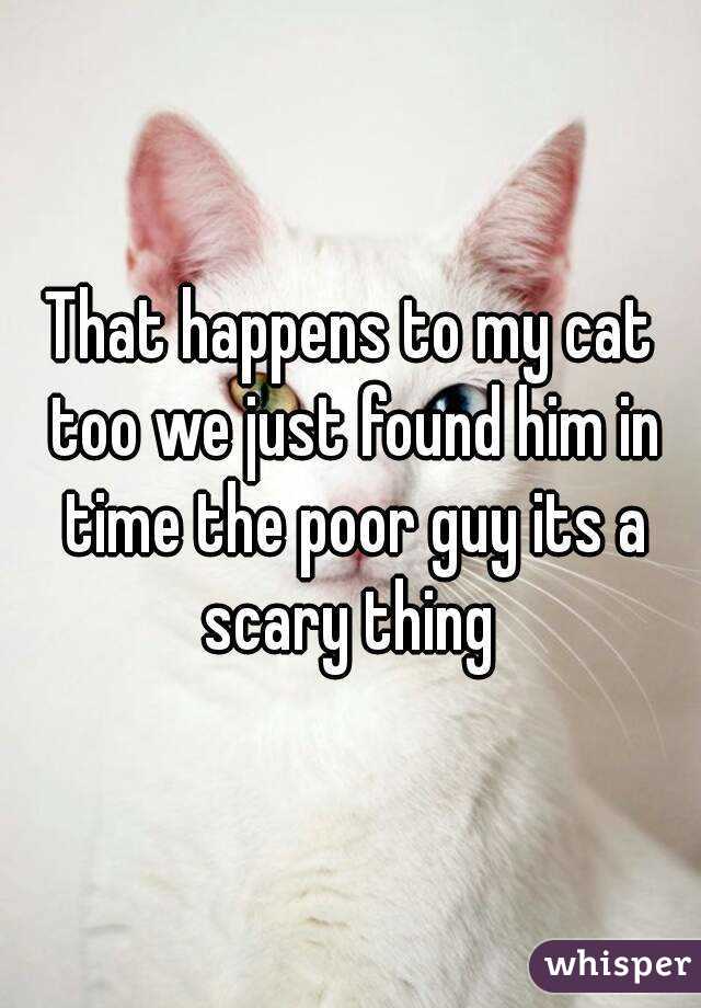 That happens to my cat too we just found him in time the poor guy its a scary thing 