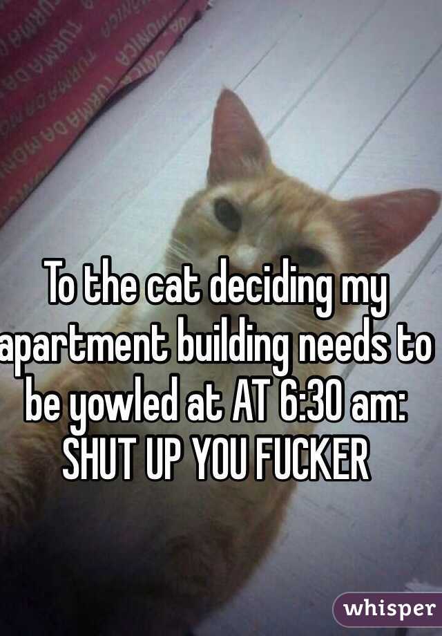 To the cat deciding my apartment building needs to be yowled at AT 6:30 am:
SHUT UP YOU FUCKER