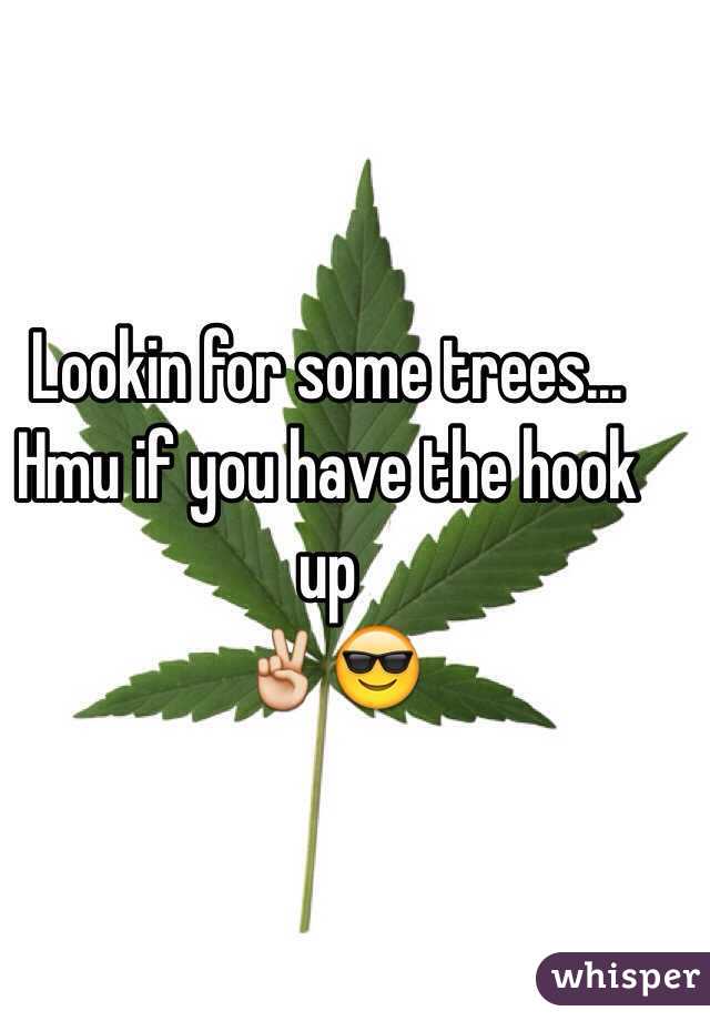 Lookin for some trees...
Hmu if you have the hook up
✌️😎