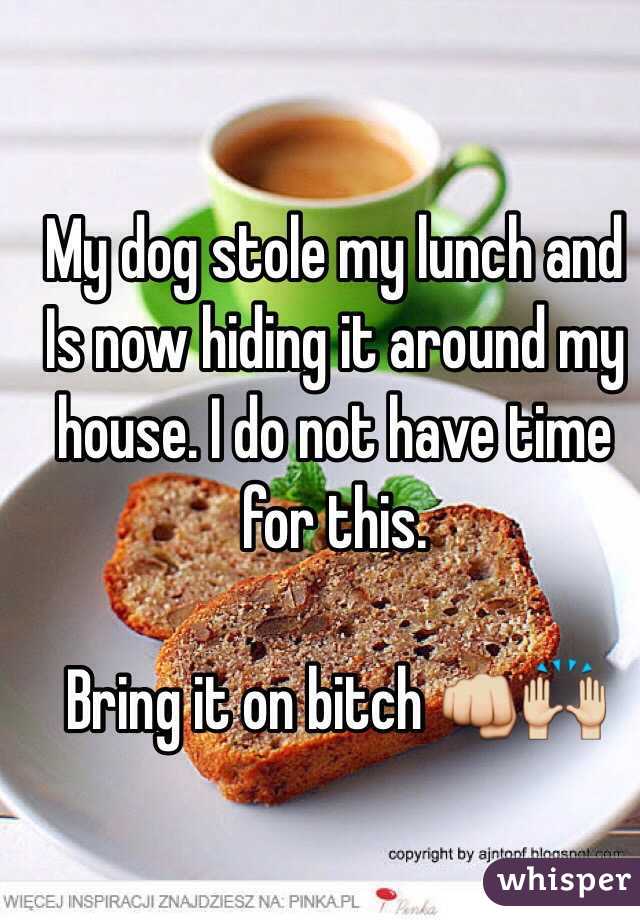 My dog stole my lunch and Is now hiding it around my house. I do not have time for this. 

Bring it on bitch 👊🙌