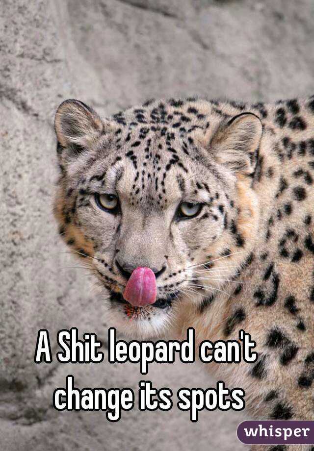 A Shit leopard can't change its spots