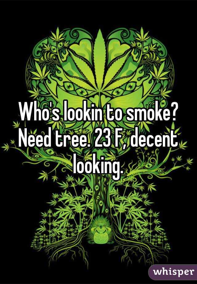 Who's lookin to smoke? Need tree. 23 F, decent looking.