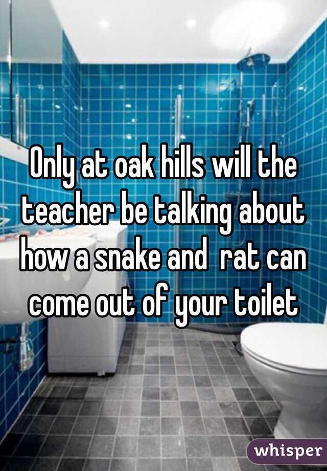 Only at oak hills will the teacher be talking about how a snake and  rat can come out of your toilet 