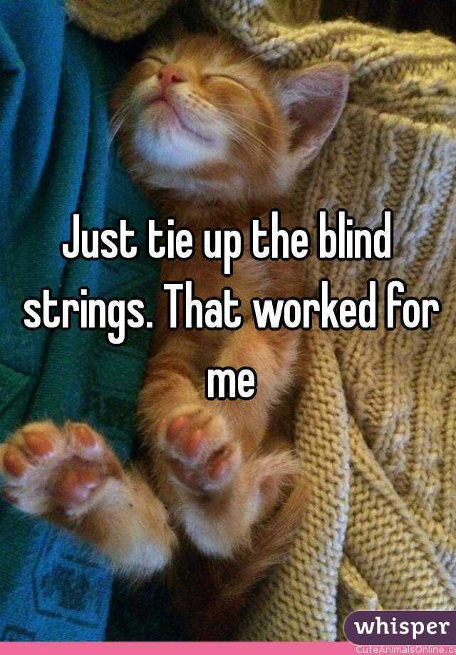 Just tie up the blind strings. That worked for me