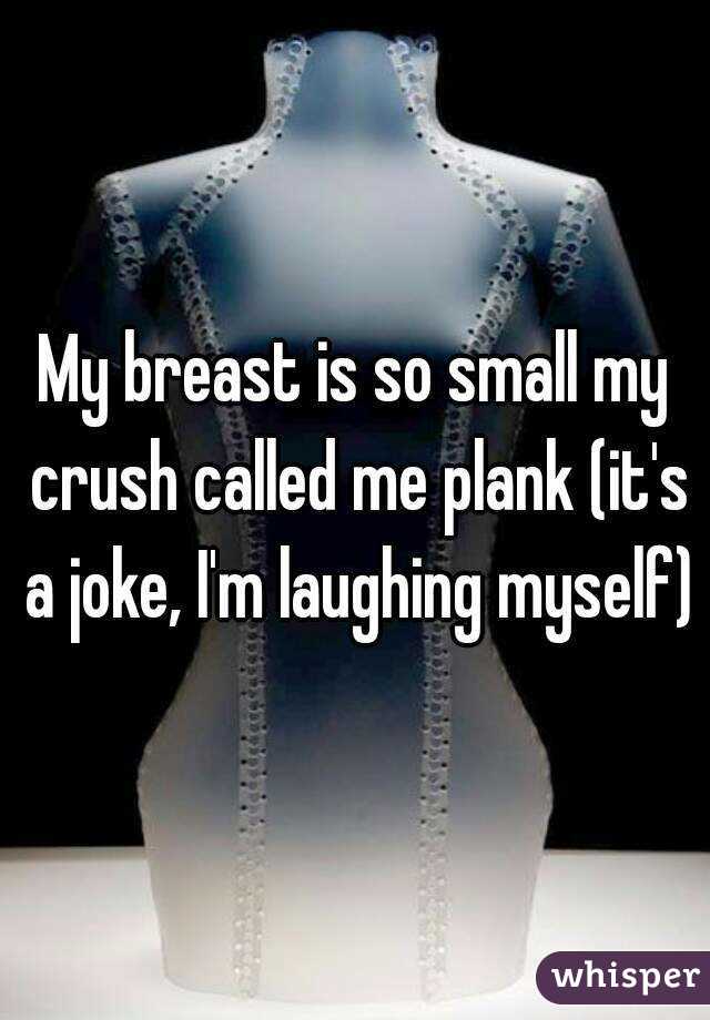 My breast is so small my crush called me plank (it's a joke, I'm laughing myself)
