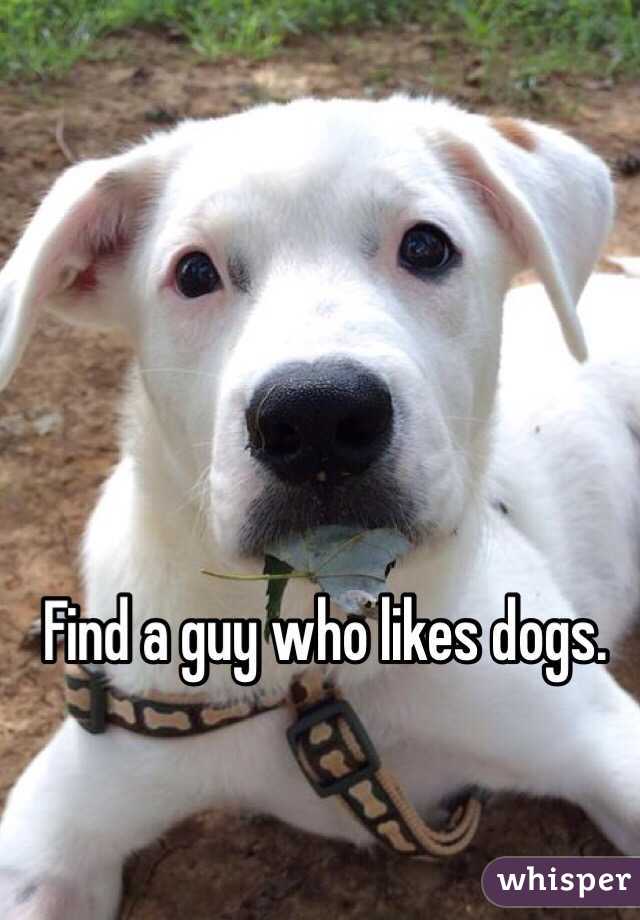 Find a guy who likes dogs. 