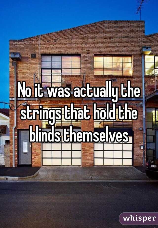No it was actually the strings that hold the blinds themselves