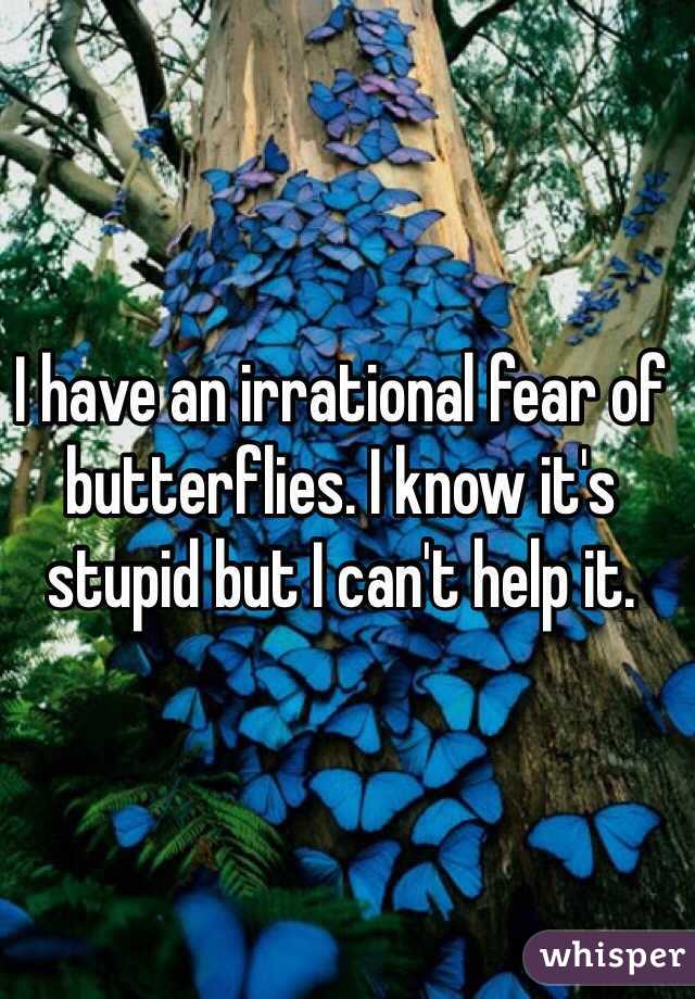 I have an irrational fear of butterflies. I know it's stupid but I can't help it.